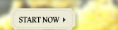 Start Now